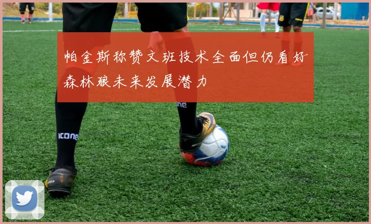 帕金斯称赞文班技术全面但仍看好森林狼未来发展潜力